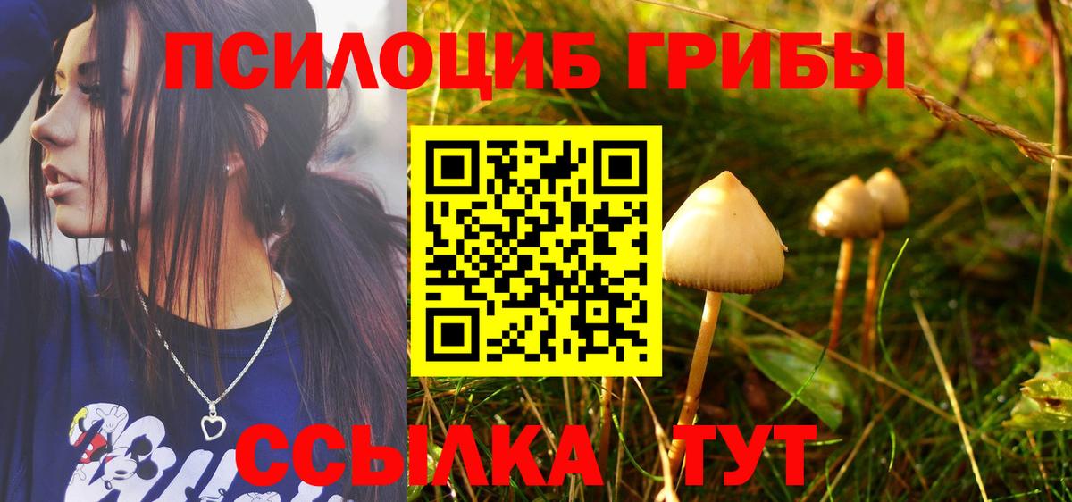 Галлюциногенные грибы ЛСД Лесозаводск